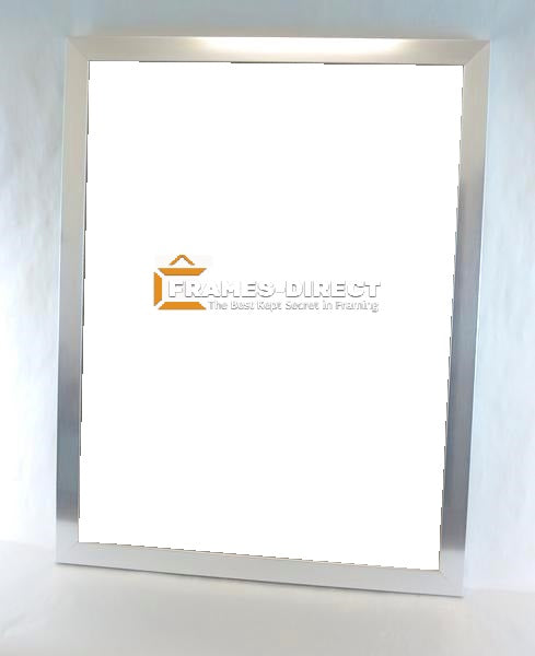 PO5150-NS Silver 18x24 Poster Frame